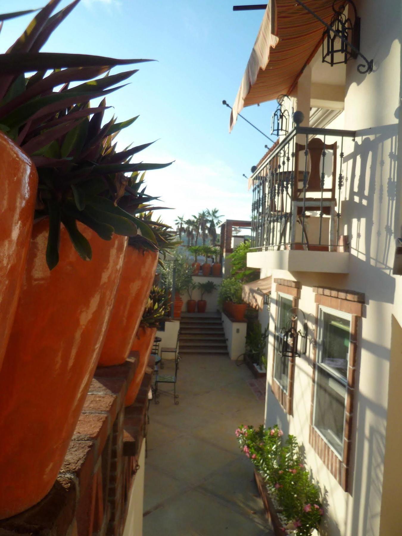 The Suites By Villa Valentina San José del Cabo Esterno foto